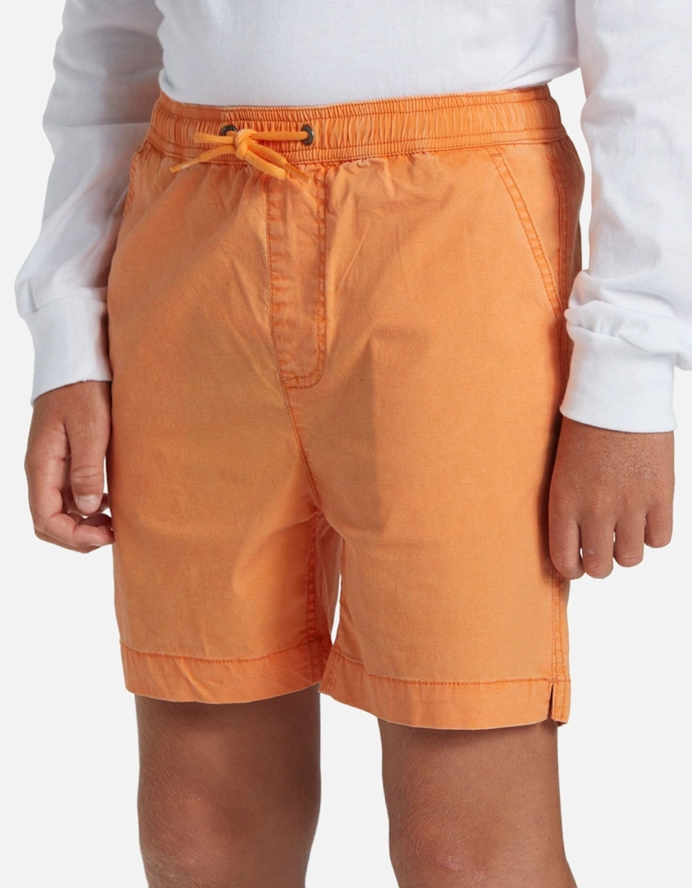 Kids Taxer Walk Short Swim Swimming Beach Boardshort