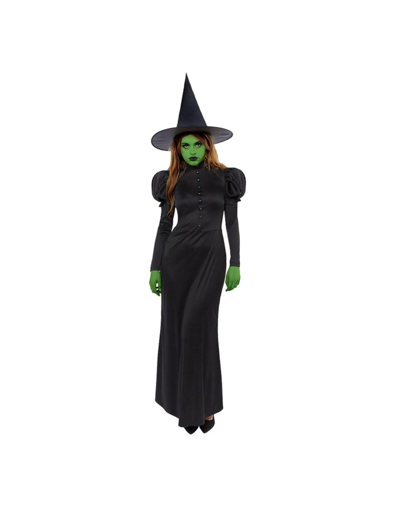 Halloween Ladies Wicked Witch Costume