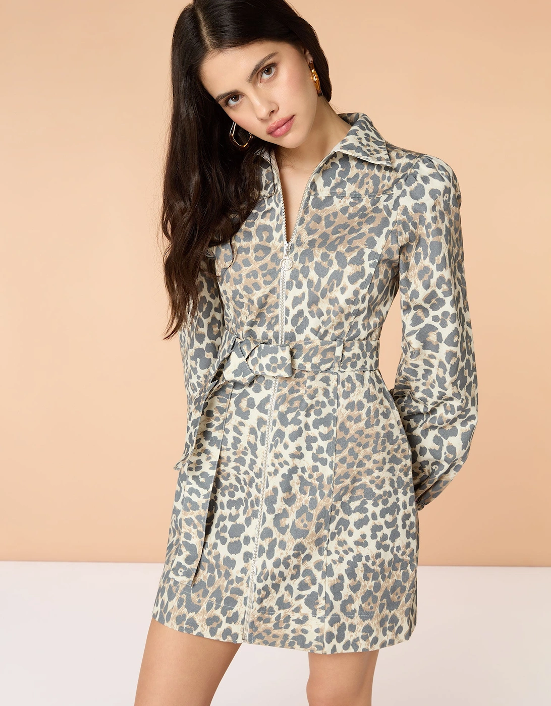 Shana Mini Dress in Cheetah Print, 6 of 5