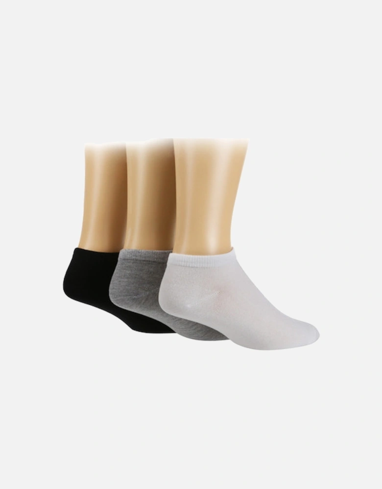 Glenmuir 3 Pack Trainer Sock Assorted