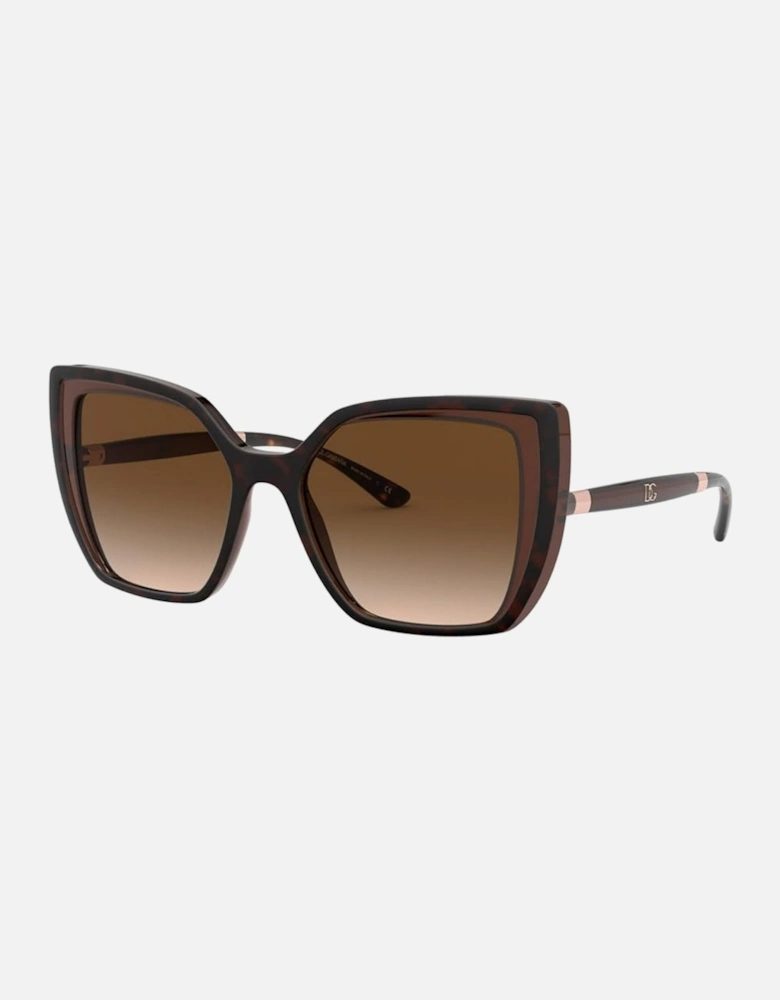 Dolce Gabbana 0Dg6138 318513 Dark Brown Sunglasses