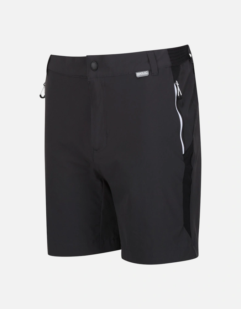 Mens Mountain II Shorts