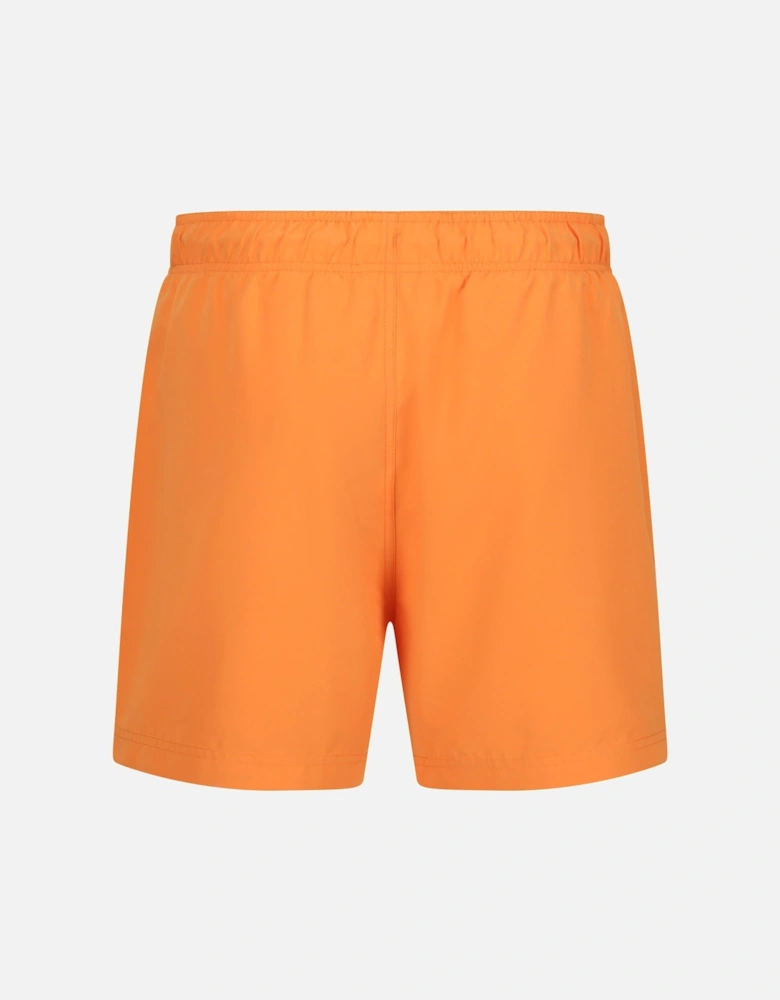 Mens Mawson II Swim Shorts