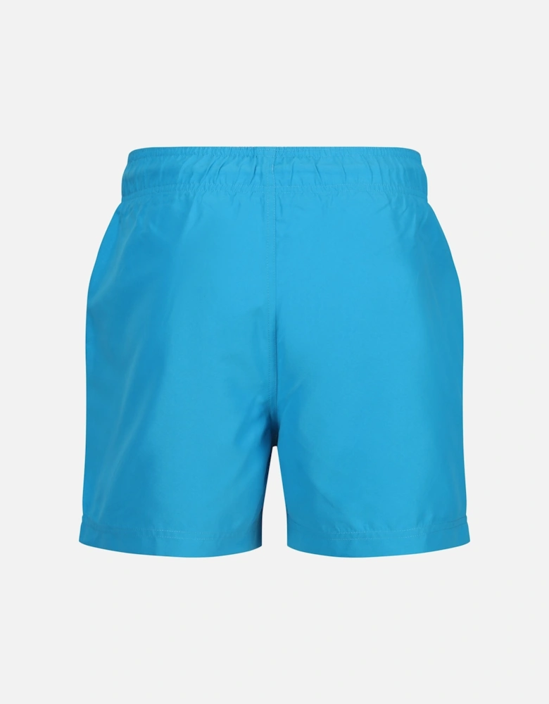 Mens Mawson II Swim Shorts