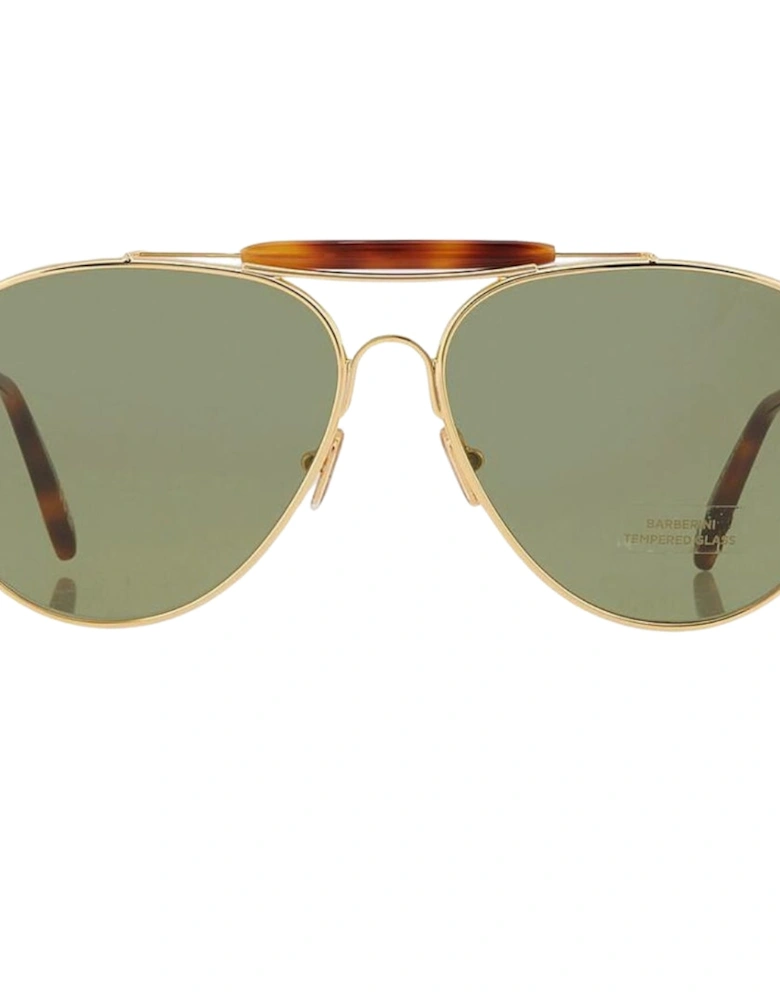 Ft0995 30N Raphael Gold Sunglasses