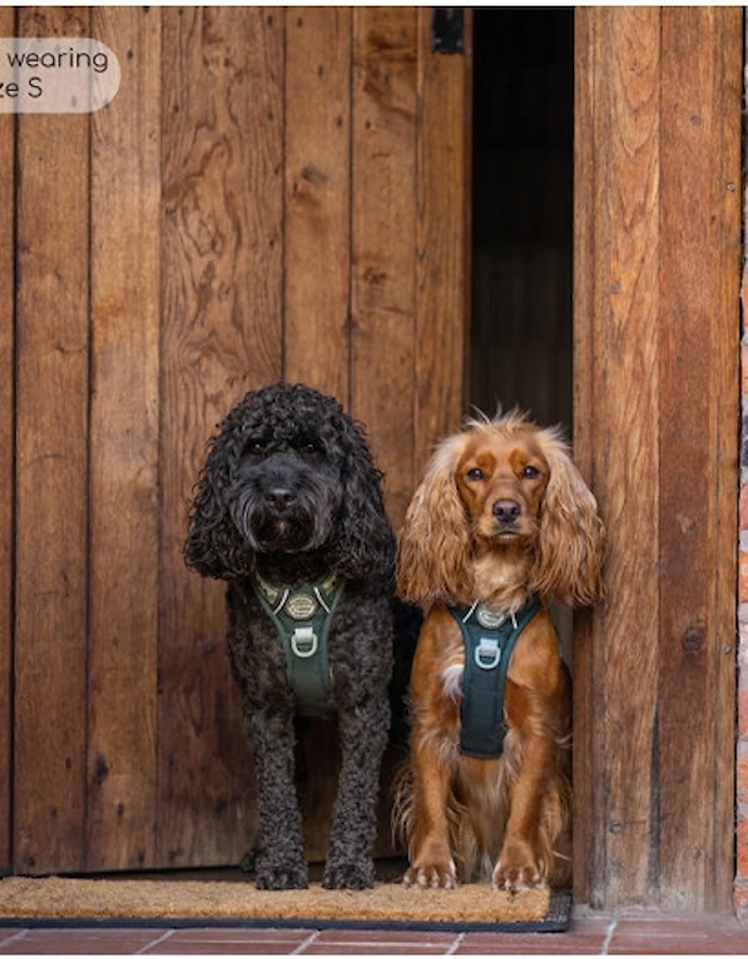 Tough Trails Walkies Ready Harness Forest Green