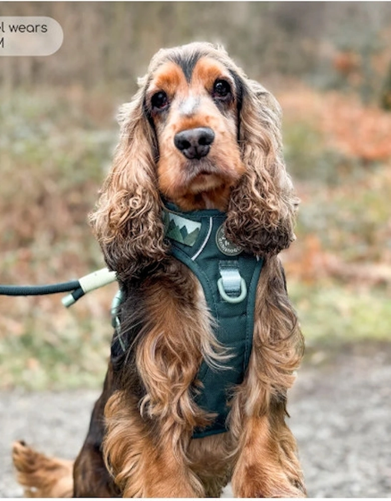 Tough Trails Walkies Ready Harness Forest Green