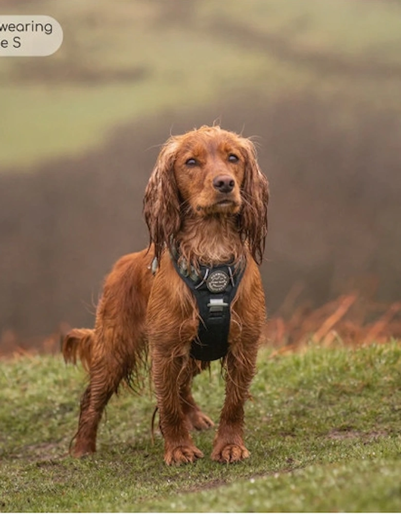 Tough Trails Walkies Ready Harness Forest Green