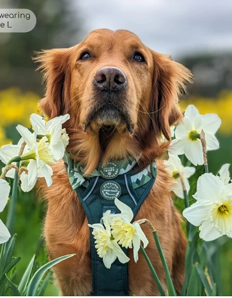 Tough Trails Walkies Ready Harness Forest Green