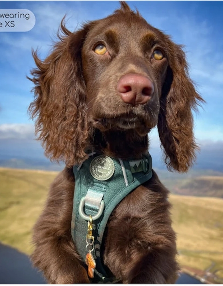 Tough Trails Walkies Ready Harness Forest Green