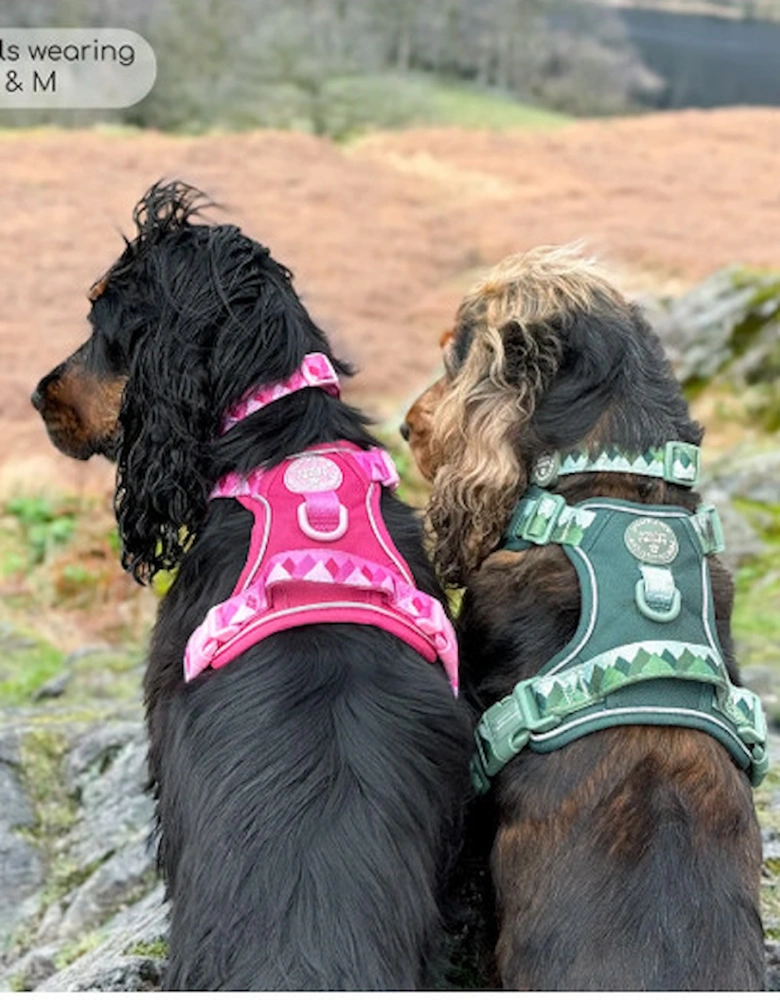 Tough Trails Walkies Ready Harness Forest Green