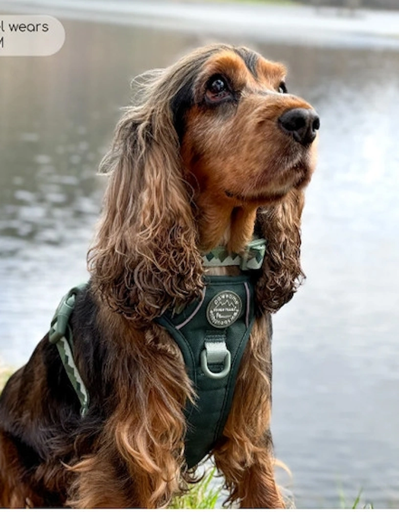 Tough Trails Walkies Ready Harness Forest Green