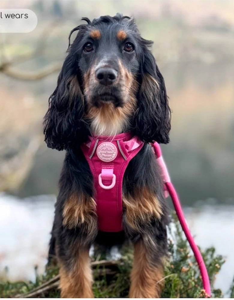 Tough Trails Walkies Ready Harness Raspberry Pink