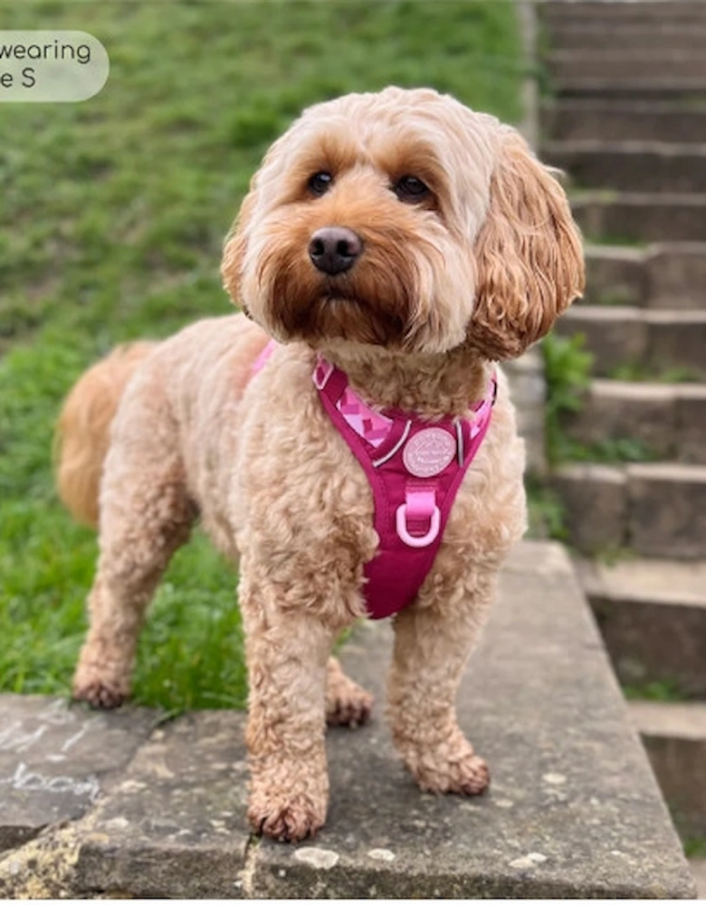 Tough Trails Walkies Ready Harness Raspberry Pink