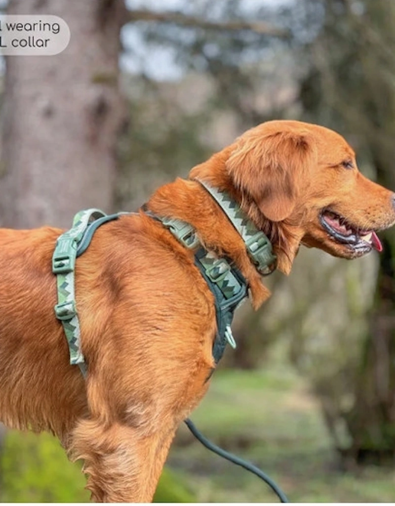 Walkies Ready Collar Forest Green