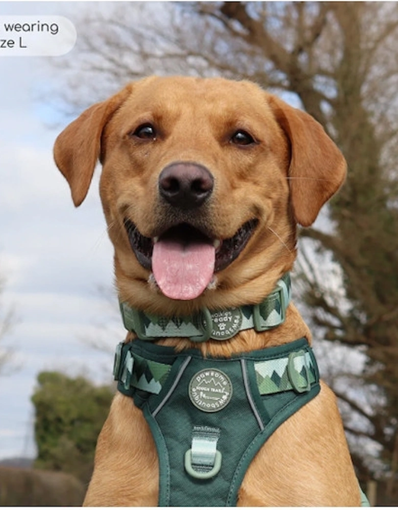 Walkies Ready Collar Forest Green