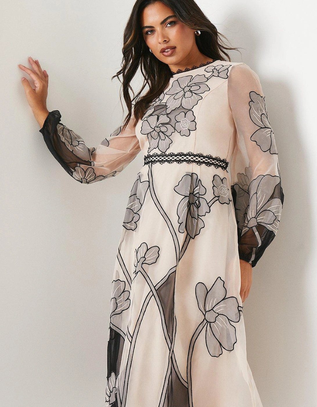 Premium Applique And Embroidered Midi Dress