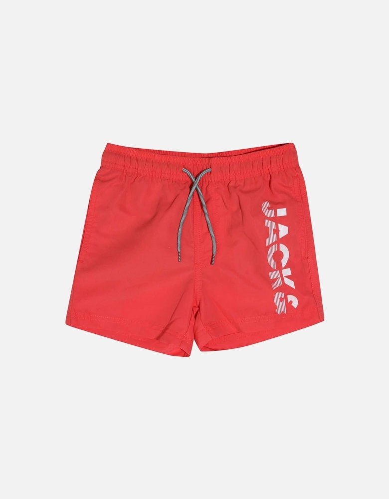 Boys Aruba Swim Shorts