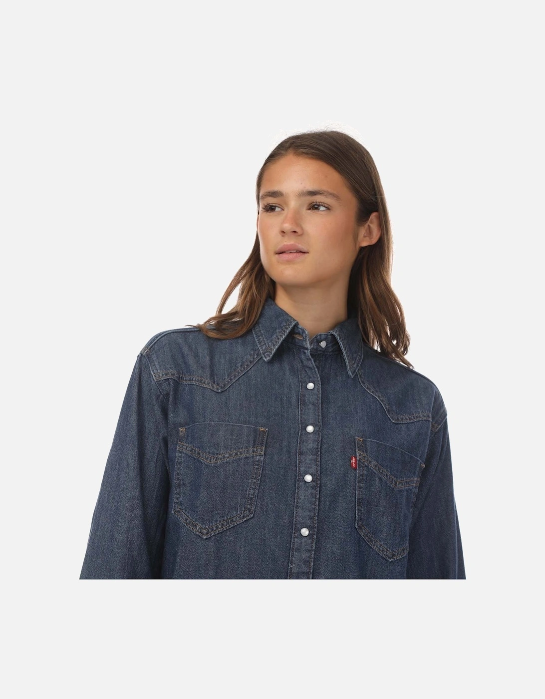 Donovan Western Shirt