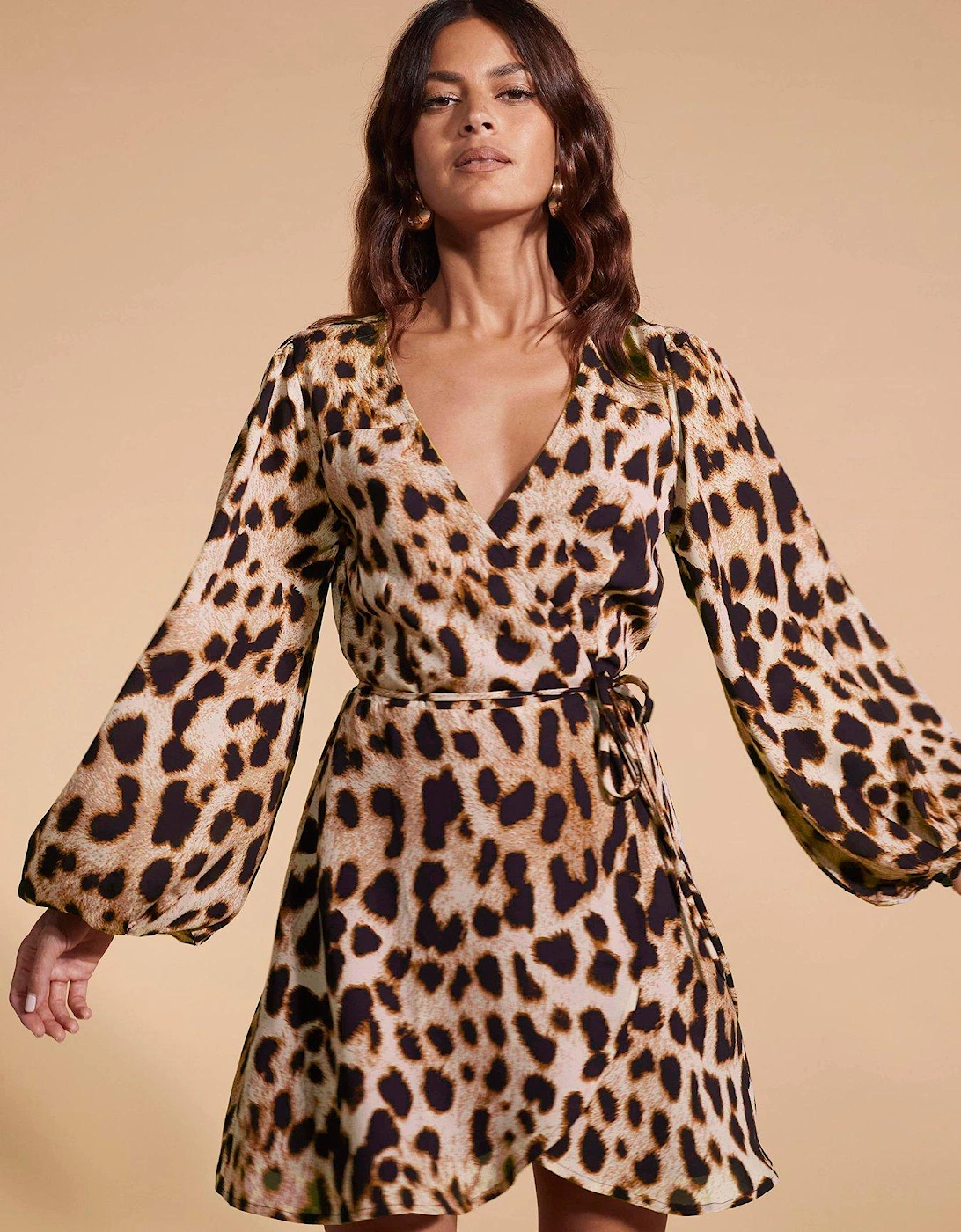 Leopard Print Mini Dress - Multi, 5 of 4