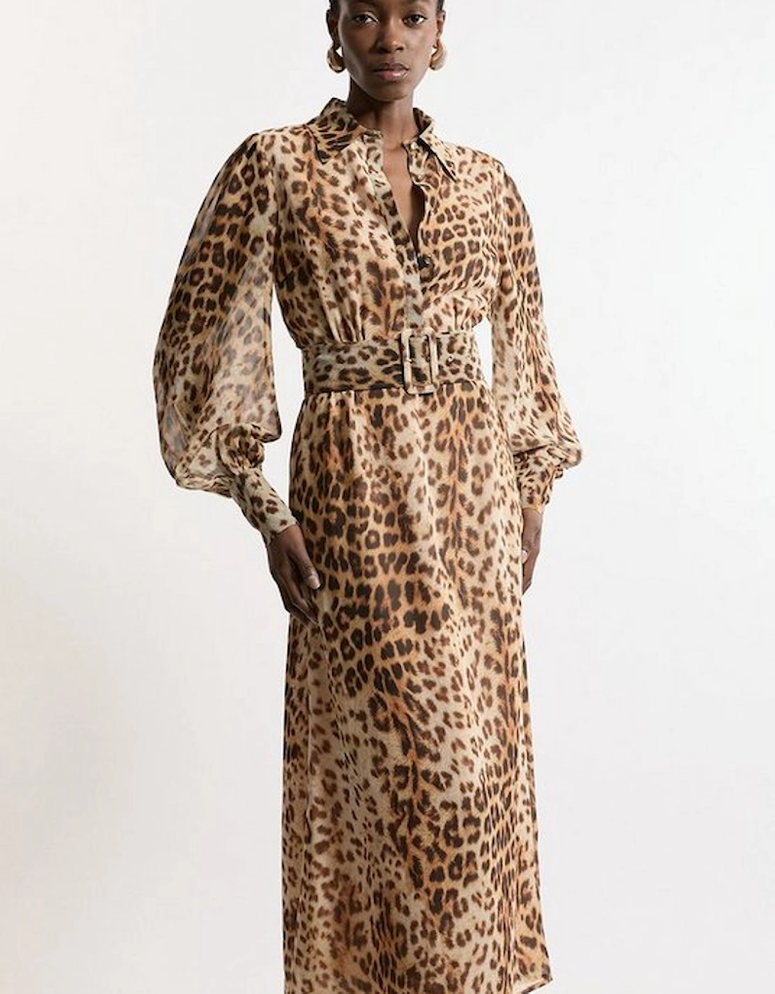 Georgette Belted Leopard Woven Shirt Dress, 5 of 4