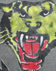 Thumbnail 5 of 6