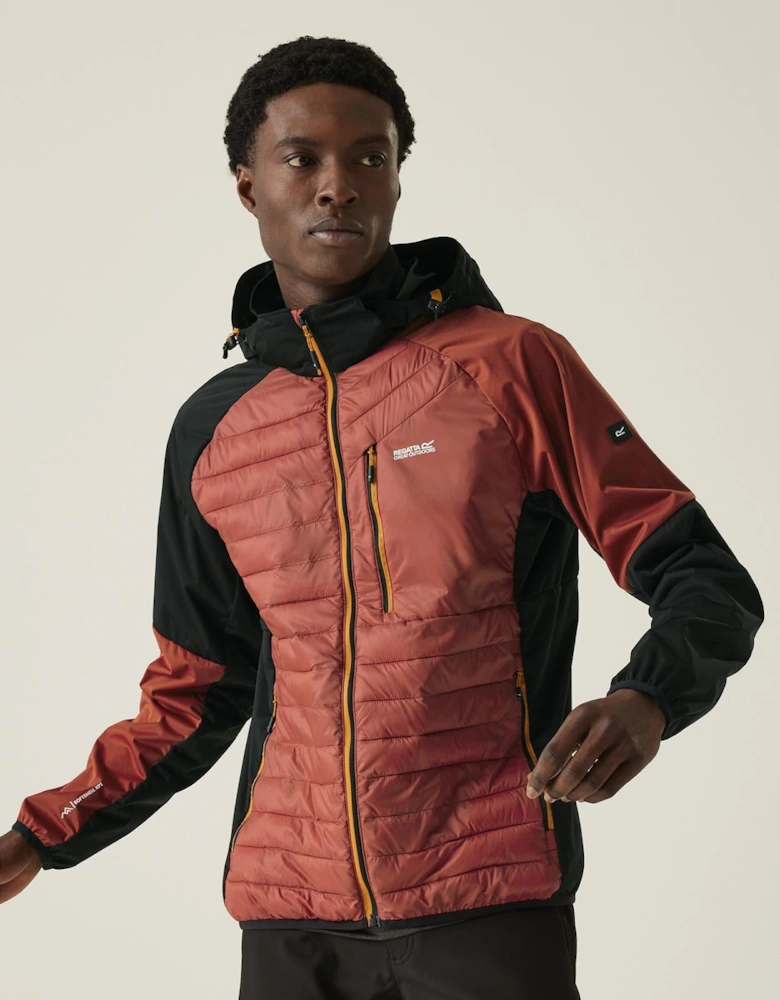 Regatta Mens Pro Hybrid Softshell Jacket