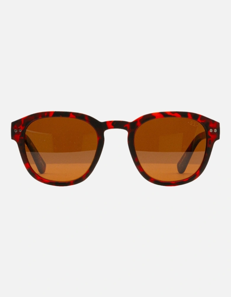 Barton Sunglasses - Tort/Brown Polarized