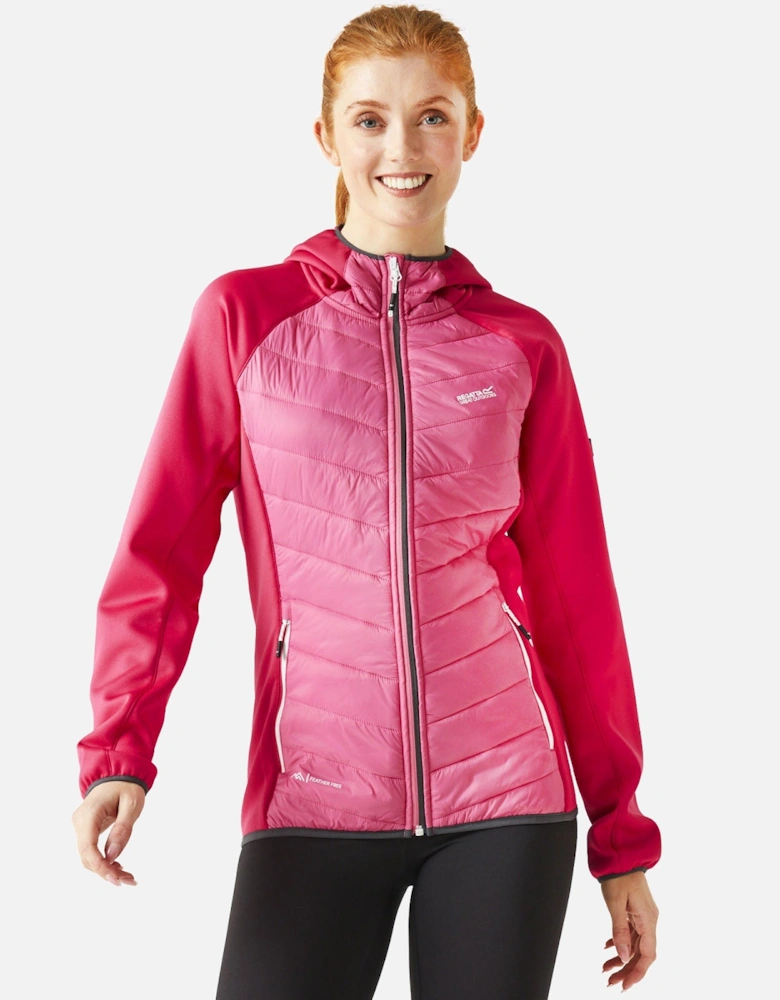 Womens Andreson VIII Hybrid Padded Jacket