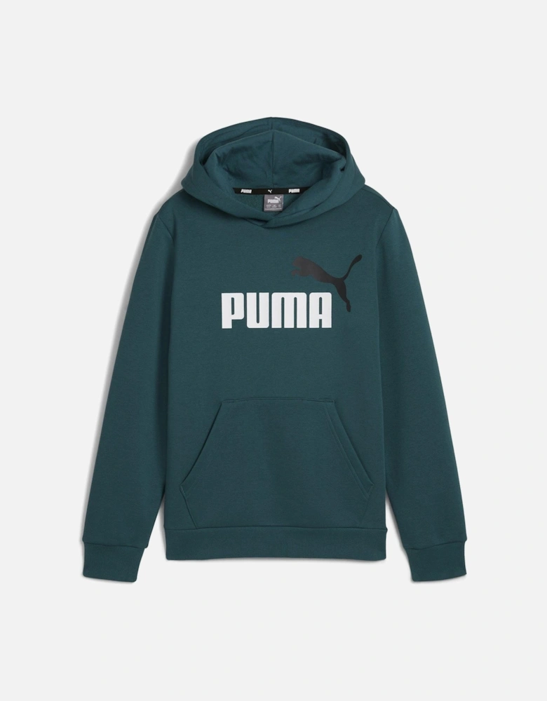 Boys Essentials+ Logo Hoodie Fleece - Green