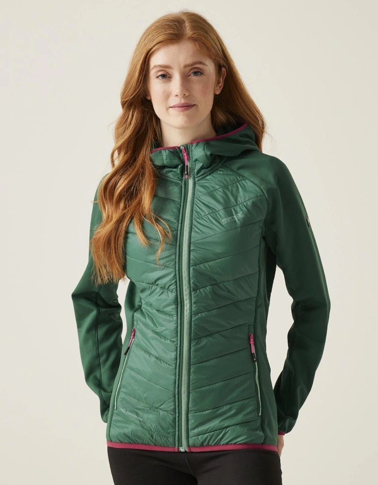 Womens Andreson VIII Hybrid Padded Jacket