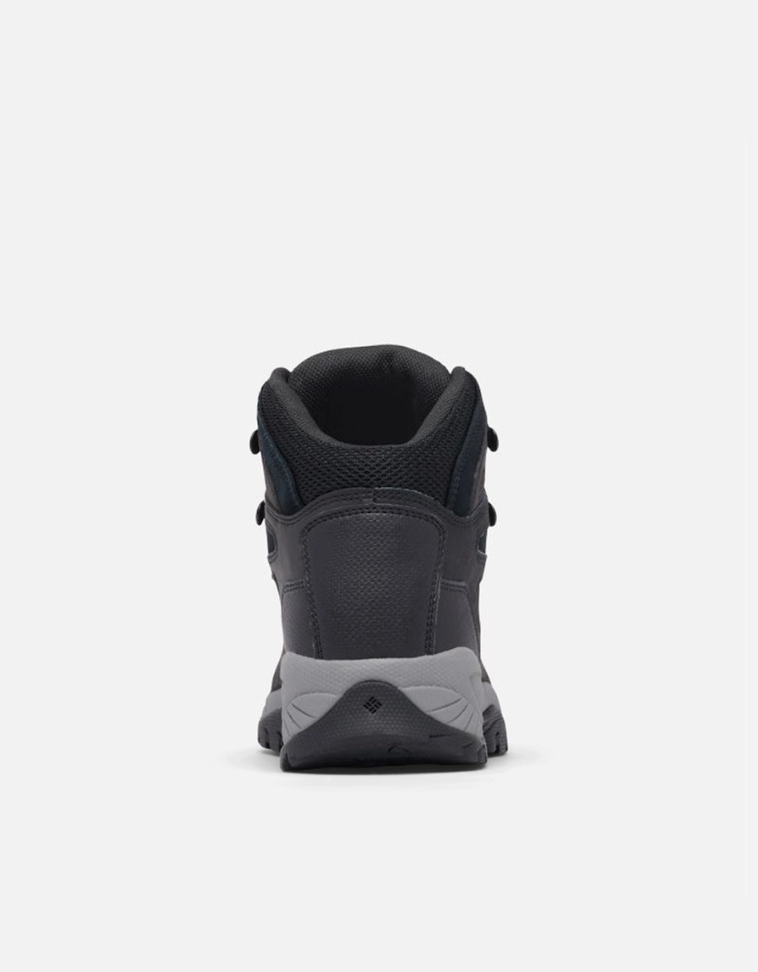 Women's Newton Ridge Plus Black/Chalk