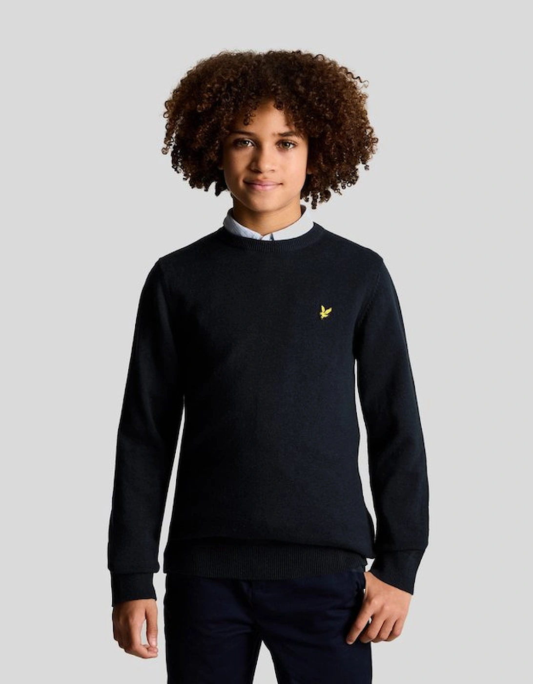 Lyle & Scott Lyle And Scott Boy's Cotton Crew Neck Jumper - Navy