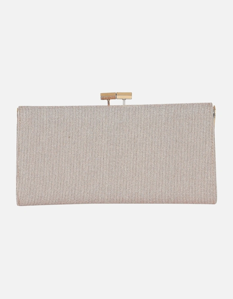 Chicory Womens Shimmer Clutch Bag