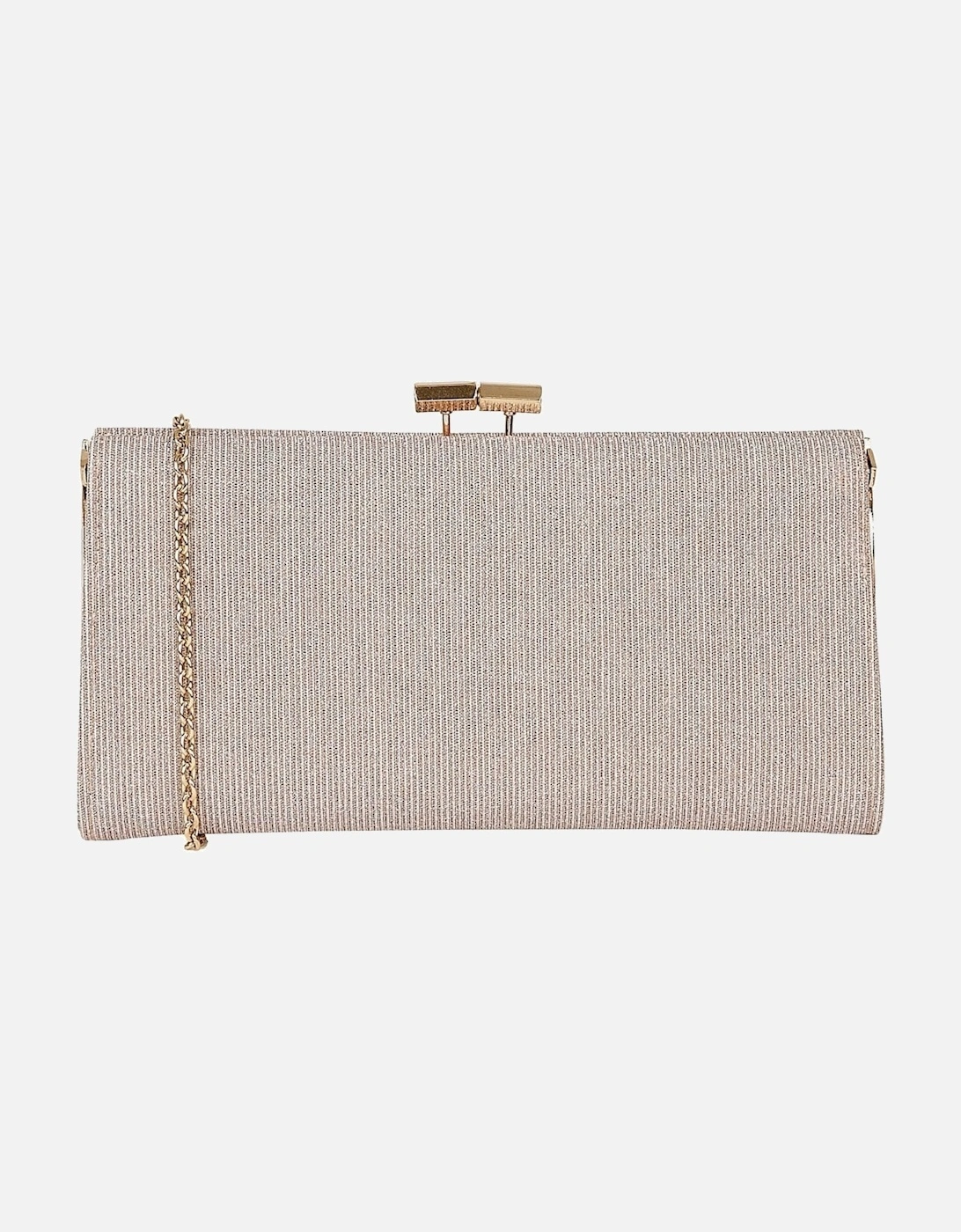 Chicory Womens Shimmer Clutch Bag