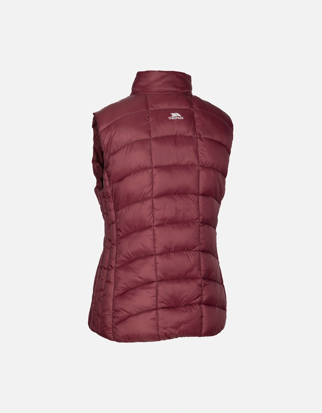 Womens/Ladies Ogbere Gilet