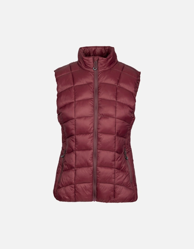 Womens/Ladies Ogbere Gilet