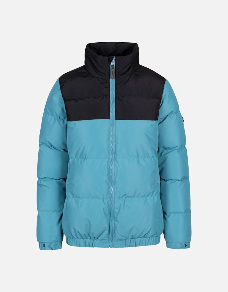 Womens/Ladies Harding Padded Jacket