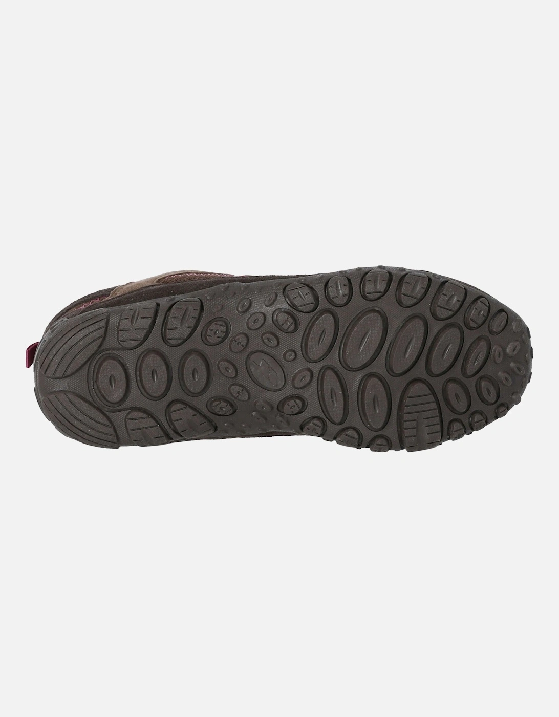 Womens/Ladies Fell Lightweight Walking Shoes