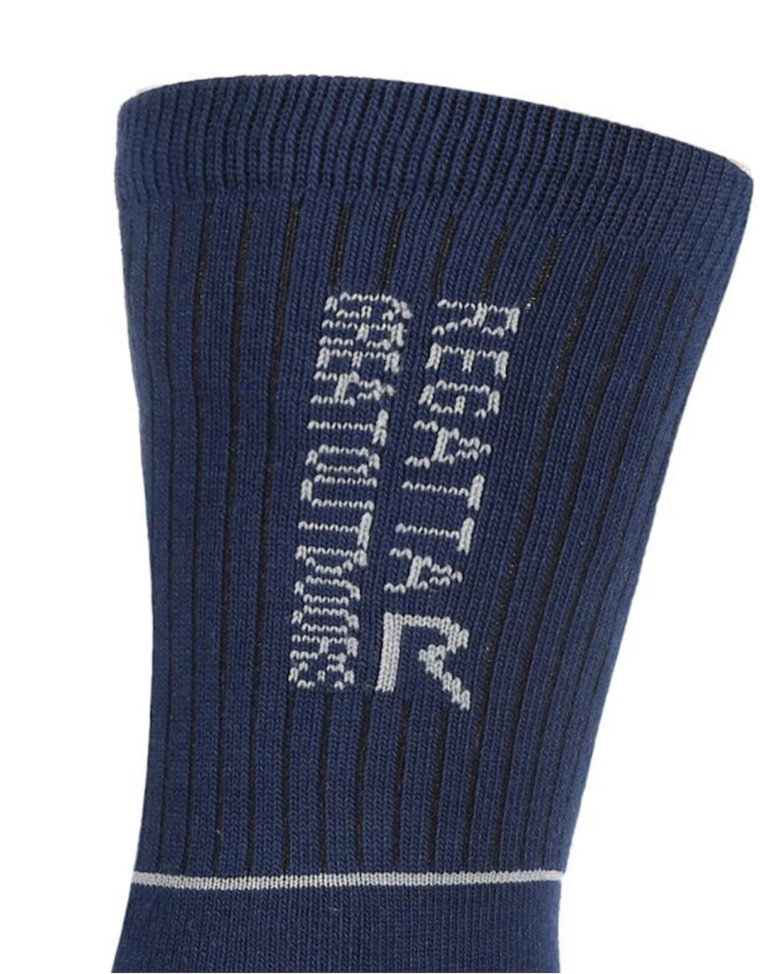 Mens Samaris 2 Season Socks (Pack of 2)