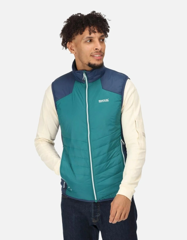 Mens Halton VI Lightweight Body Warmer