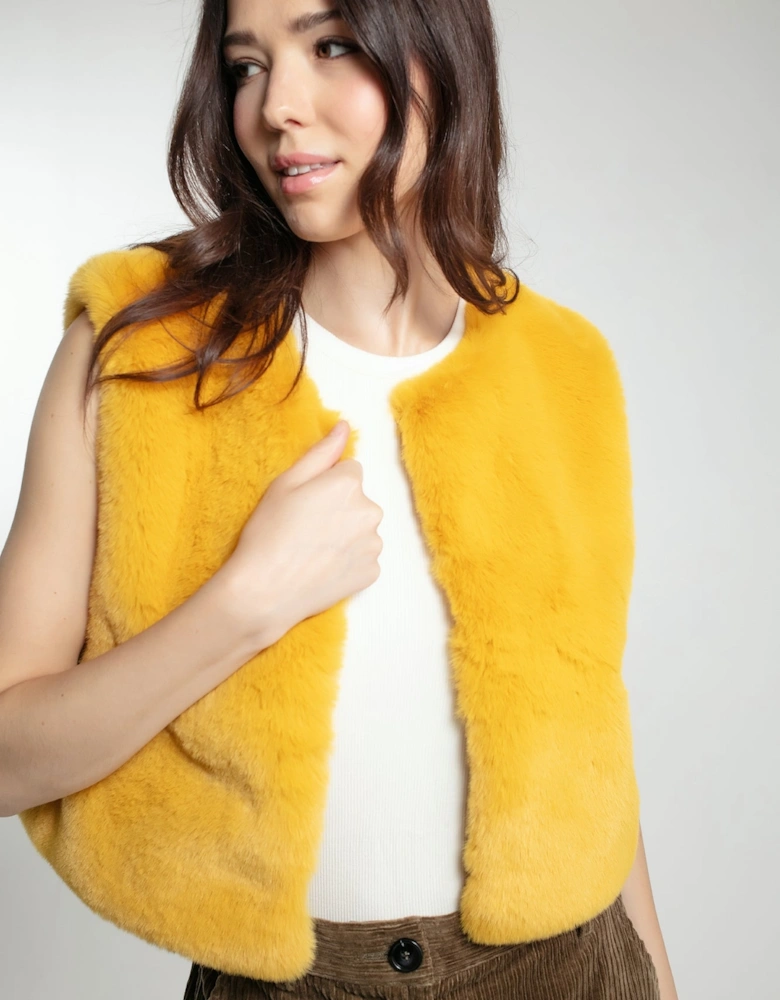 EDELWEISS GILET IN MUSTARD