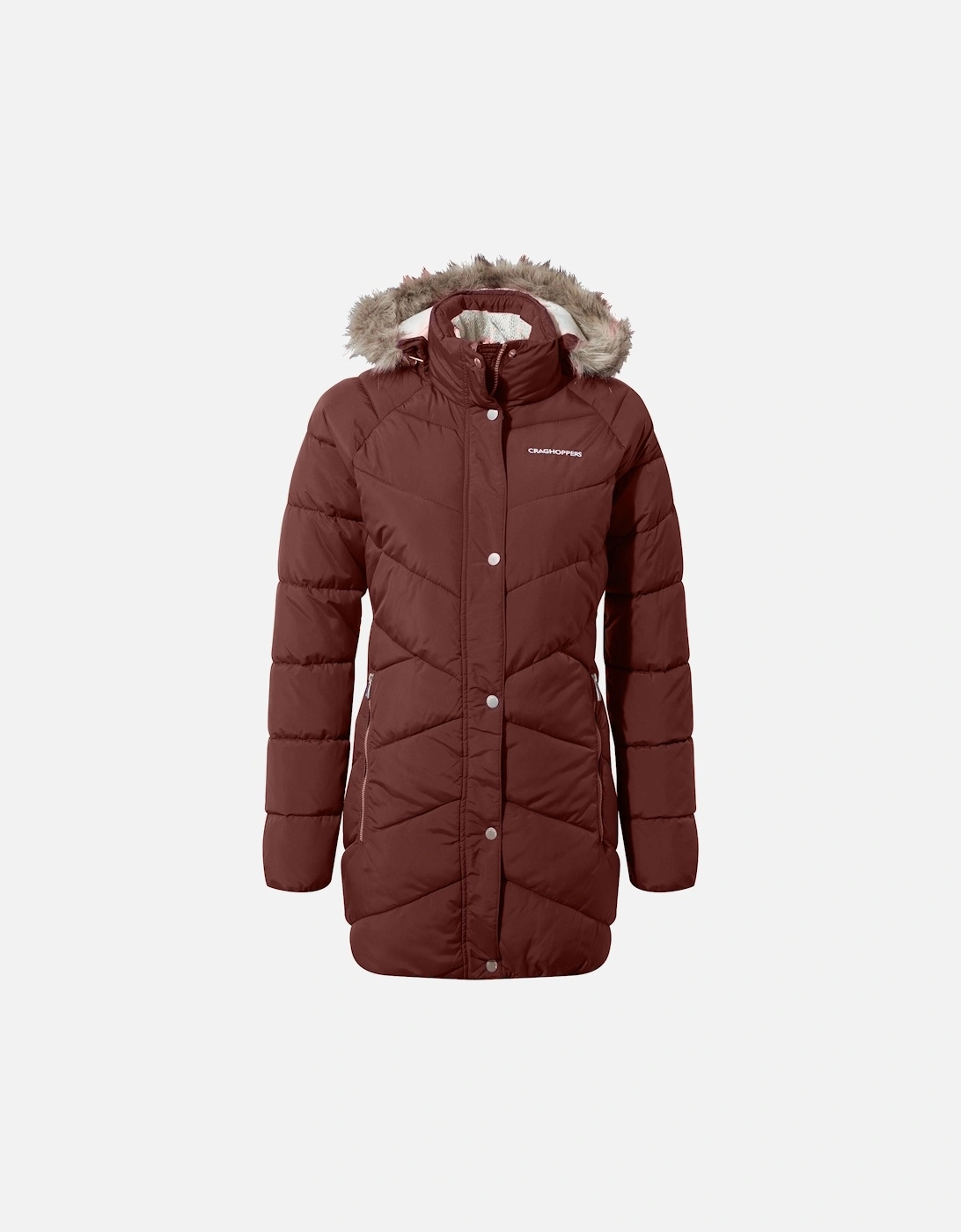 Womens/Ladies Lisby Padded Jacket, 5 of 4