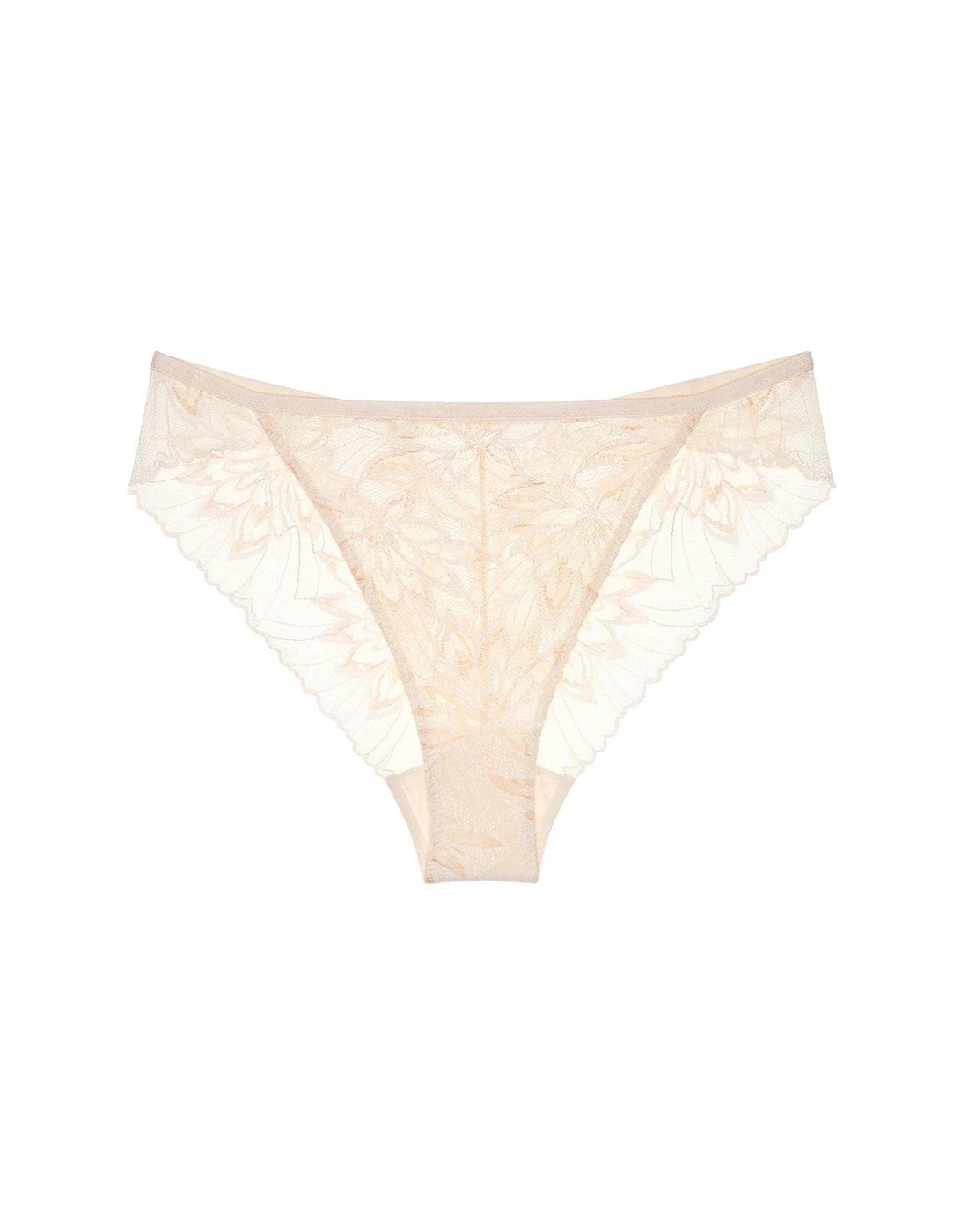 Amourette Charm Delight Embroidered High Leg Brief - Ivory