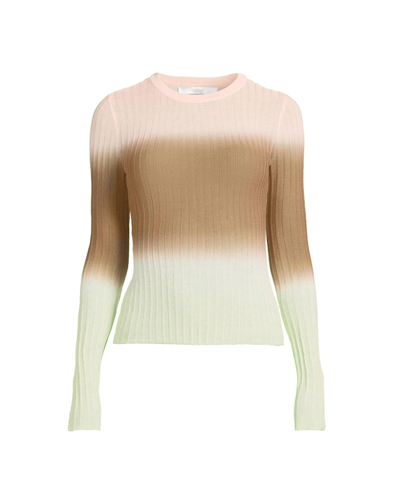 Ombre Slim Knit Top - Multi