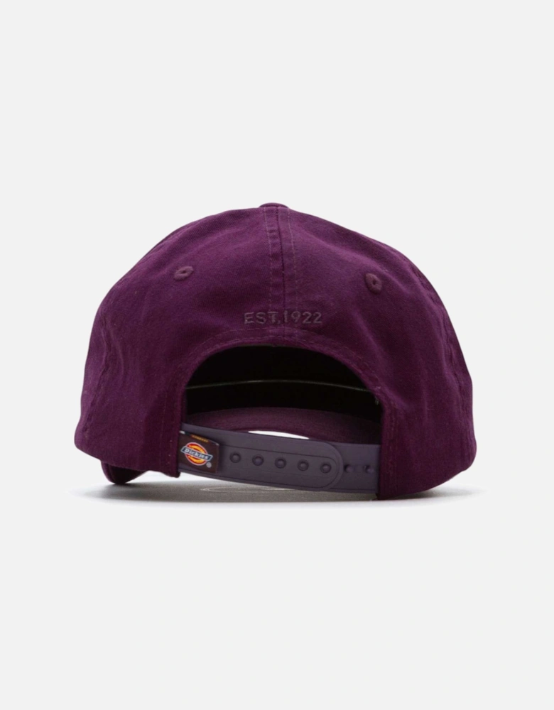 Hardwick 6 Panel Cap - Plum