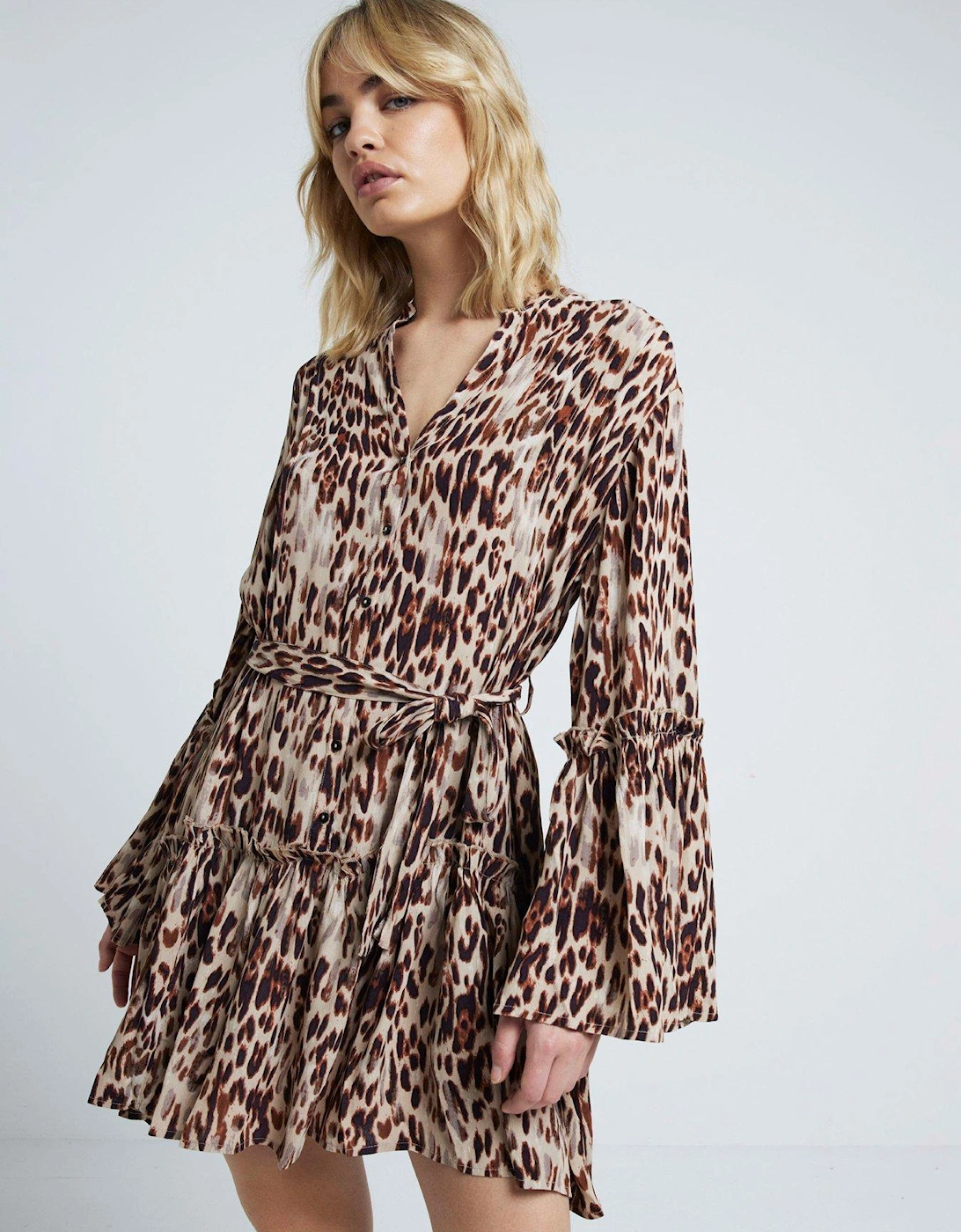 Animal Printed Dress - Brown, 6 of 5