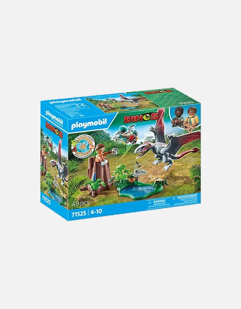 71525 Dinos: Observatory for Dimophordon