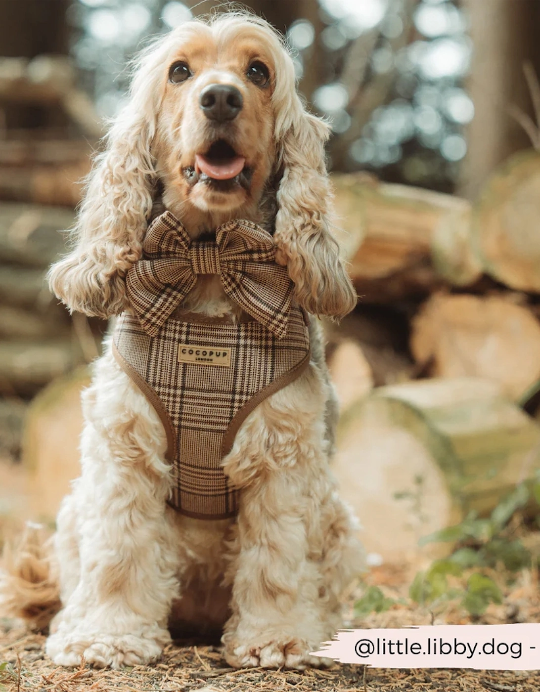 Pup Plaid Adjustable Neck Harness