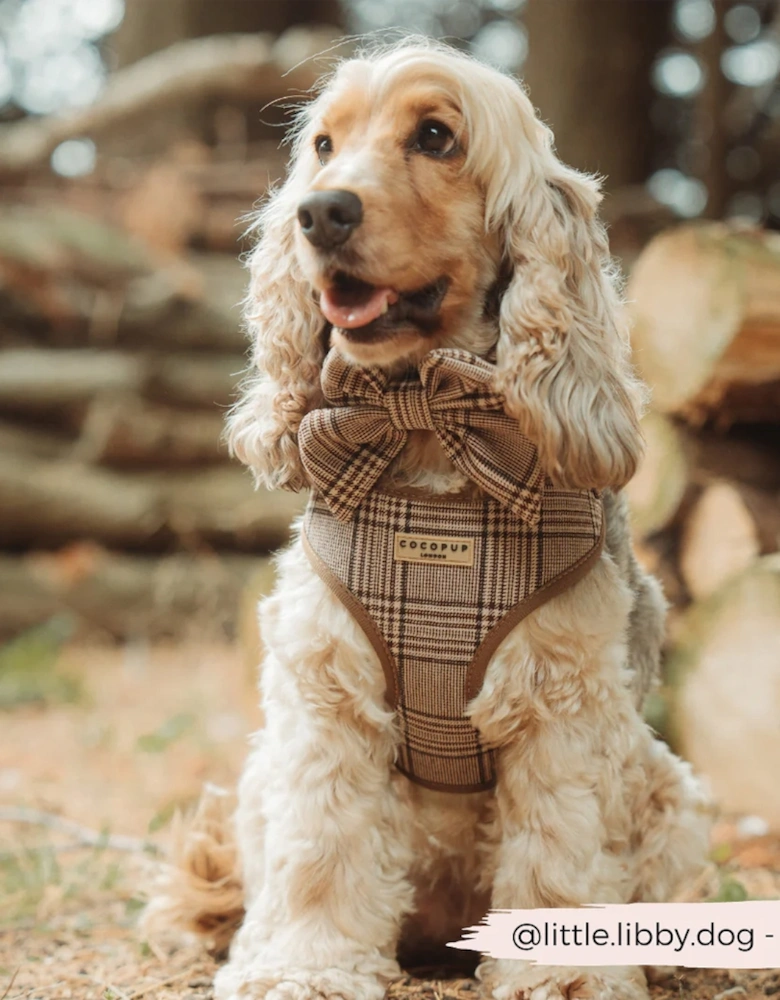 Pup Plaid Adjustable Neck Harness